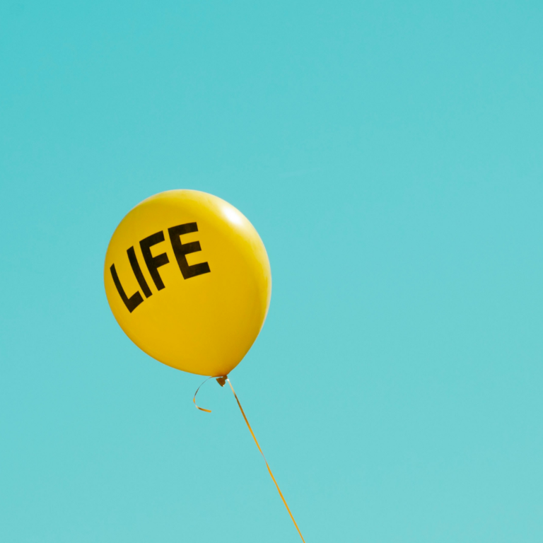 Best Insurance for Self-Employed in NZ